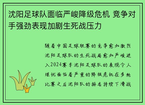 沈阳足球队面临严峻降级危机 竞争对手强劲表现加剧生死战压力