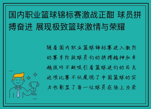 国内职业篮球锦标赛激战正酣 球员拼搏奋进 展现极致篮球激情与荣耀