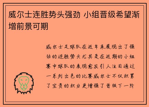 威尔士连胜势头强劲 小组晋级希望渐增前景可期