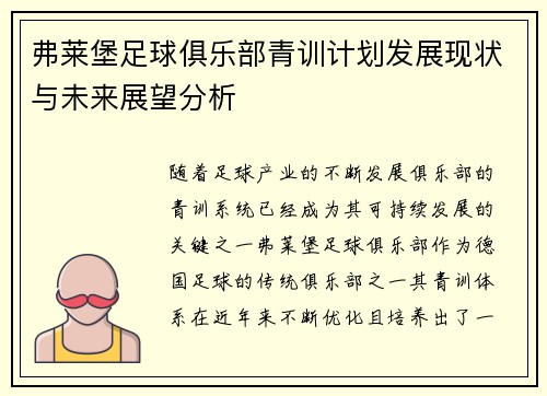 弗莱堡足球俱乐部青训计划发展现状与未来展望分析